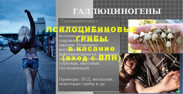 Альфа ПВП Верея