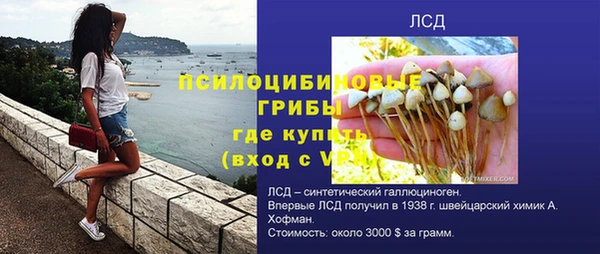 Альфа ПВП Верея