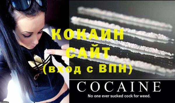 Альфа ПВП Верея