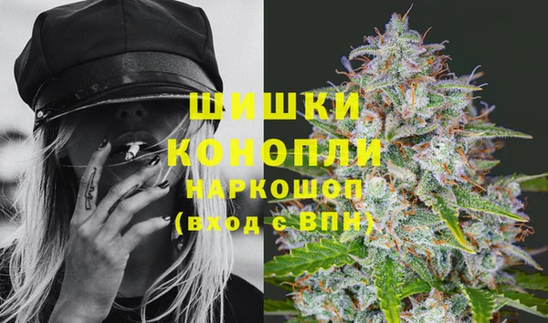 Альфа ПВП Верея