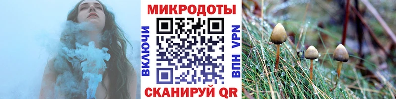 Псилоцибиновые грибы Magic Shrooms  Купить закладки  Меленки 